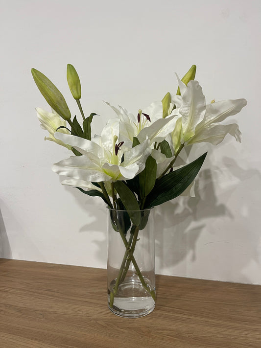 Lily